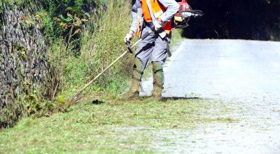 Ordinanza sindacale per l’eliminazione di sterpaglie e pulitura terreni