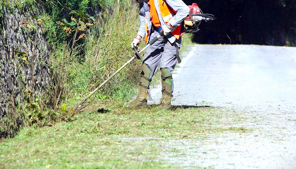 Ordinanza sindacale per l’eliminazione di sterpaglie e pulitura terreni